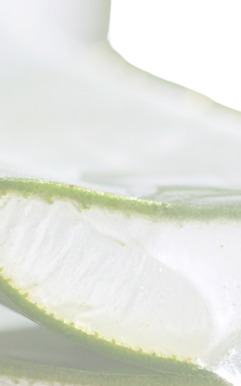 Opinie zadowolonych Klientów są autentyczne