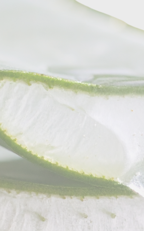 Opinie zadowolonych Klientów są autentyczne.